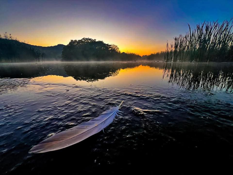 A feather floating on still water beneath a glowing sunrise