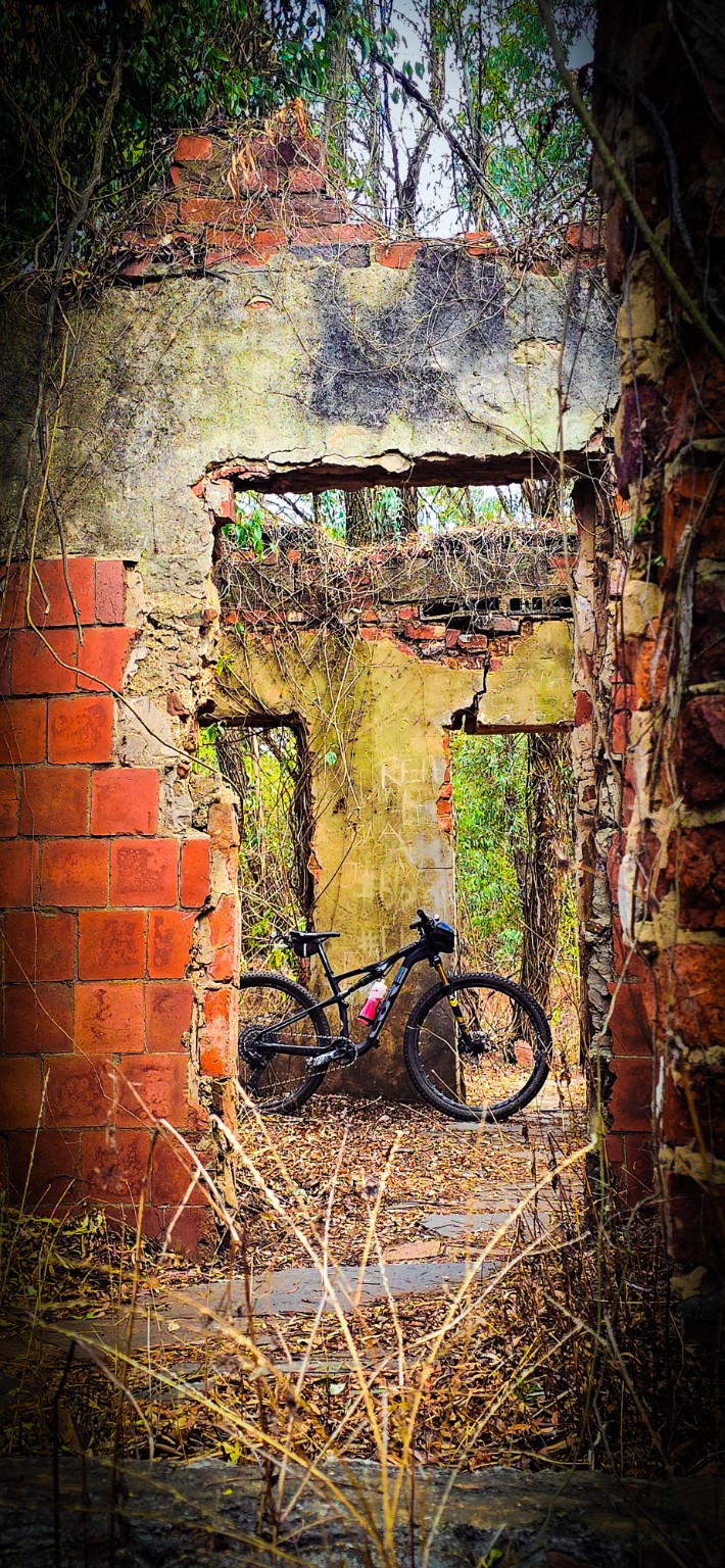A bicycle framed by weathered brick doorways and trailing greenery